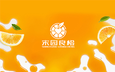 某良橙——浙江LOGO设计